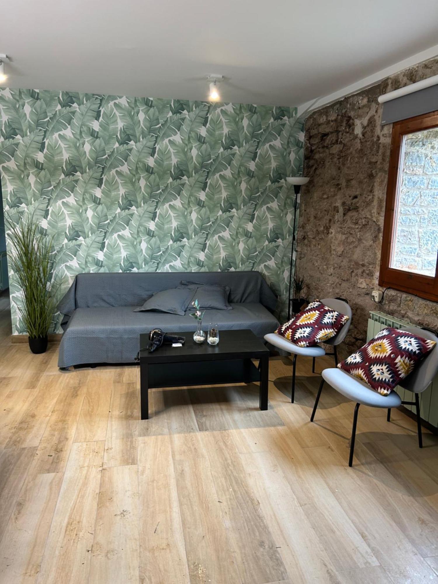 Cal Xesc Apartment Castellar De N'Hug Exterior foto